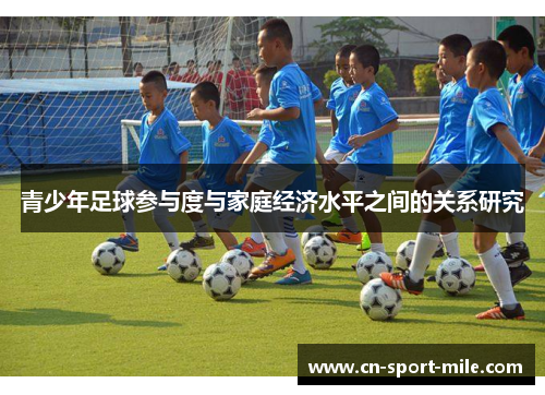 青少年足球参与度与家庭经济水平之间的关系研究 青少年足球参与度与家庭经济水平之间的关系研究