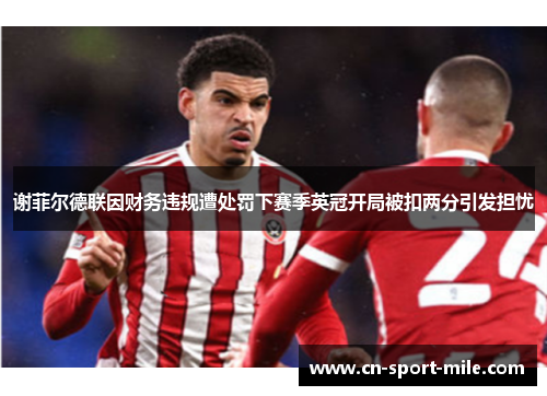 谢菲尔德联因财务违规遭处罚下赛季英冠开局被扣两分引发担忧